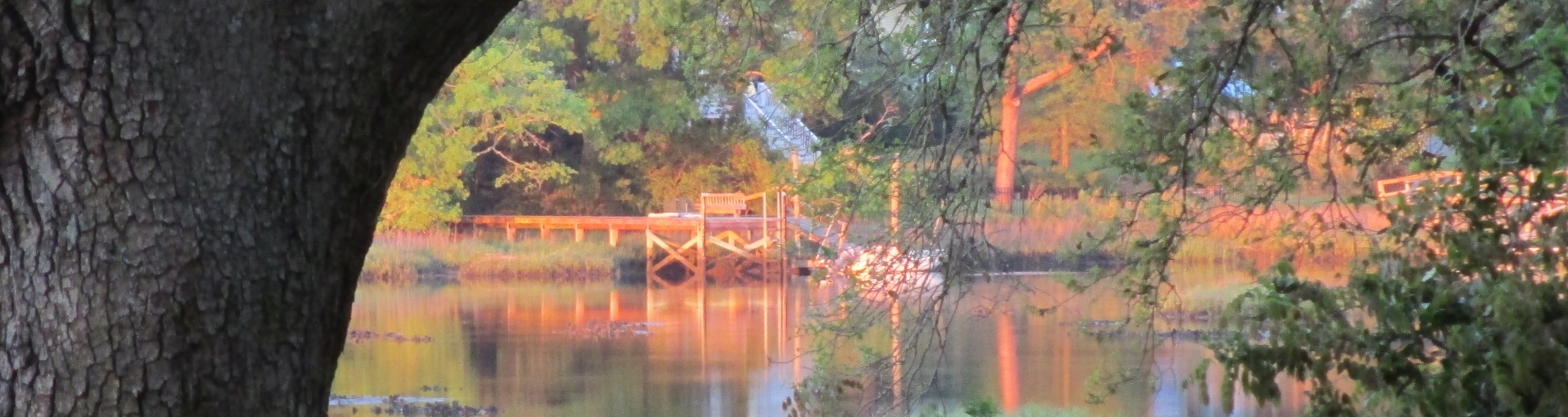 image of a lake with a tree in the foreground and dock in the background